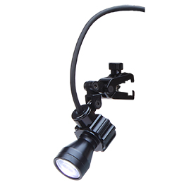 L2S09 Bulb Closeup